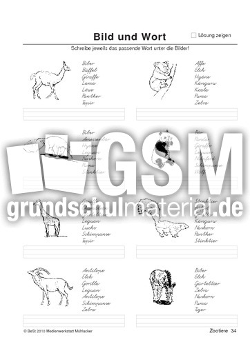 BuW Zootiere34.pdf